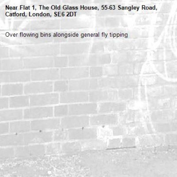 Over flowing bins alongside general fly tipping-Flat 1, The Old Glass House, 55-63 Sangley Road, Catford, London, SE6 2DT