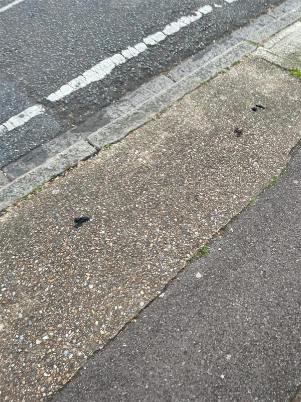 Rubbish on floor -93 Essex Road, Manor Park, London, E12 6QR