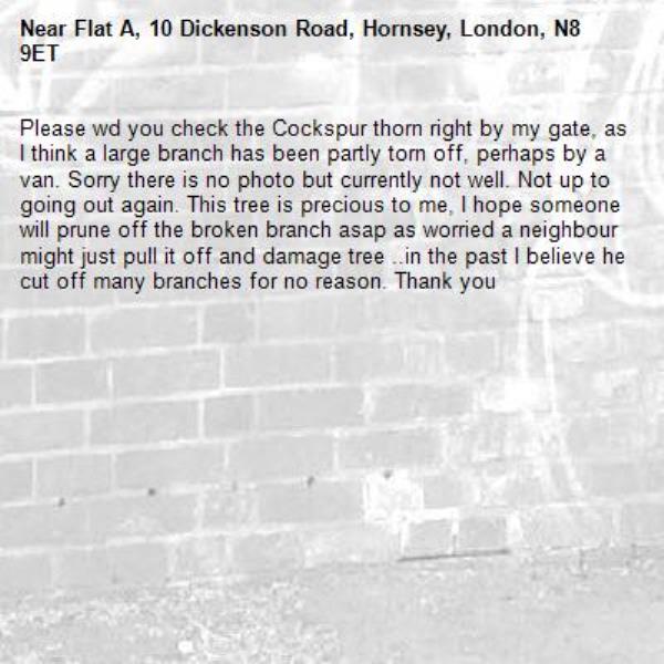 Please wd you check the Cockspur thorn right by my gate, as I think a large branch has been partly torn off, perhaps by a van. Sorry there is no photo but currently not well. Not up to going out again. This tree is precious to me, I hope someone will prune off the broken branch asap as worried a neighbour might just pull it off and damage tree ..in the past I believe he cut off many branches for no reason. Thank you -Flat A, 10 Dickenson Road, Hornsey, London, N8 9ET