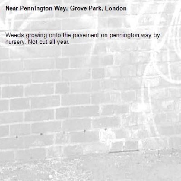 Weeds growing onto the pavement on pennington way by nursery. Not cut all year. -Pennington Way, Grove Park, London