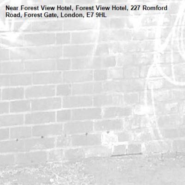 -Forest View Hotel, Forest View Hotel, 227 Romford Road, Forest Gate, London, E7 9HL