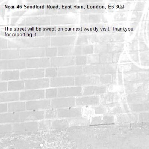 The street will be swept on our next weekly visit. Thankyou for reporting it.-46 Sandford Road, East Ham, London, E6 3QJ
