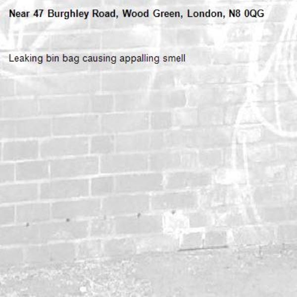 Leaking bin bag causing appalling smell-47 Burghley Road, Wood Green, London, N8 0QG