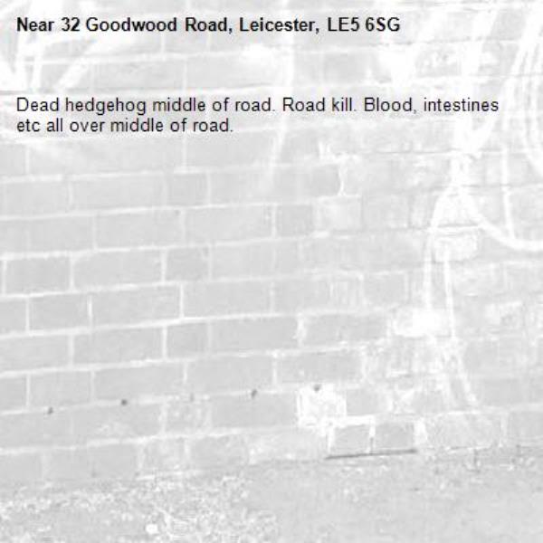 Dead hedgehog middle of road. Road kill. Blood, intestines etc all over middle of road. -32 Goodwood Road, Leicester, LE5 6SG