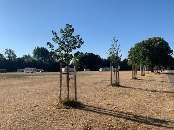 Cintra Park is occupied by caravans, at least 25 vehicles are parked all over the land. Likely they entered the park by gate off Northumberland Avenue side. -Milward Court Warwick Road, Reading, RG2 7BG