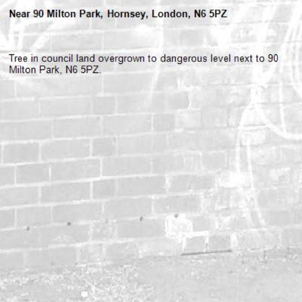 Tree in council land overgrown to dangerous level next to 90 Milton Park, N6 5PZ.-90 Milton Park, Hornsey, London, N6 5PZ