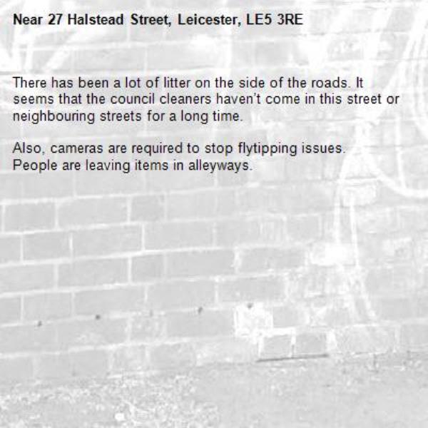 There has been a lot of litter on the side of the roads. It seems that the council cleaners haven’t come in this street or neighbouring streets for a long time.

Also, cameras are required to stop flytipping issues.
People are leaving items in alleyways.-27 Halstead Street, Leicester, LE5 3RE