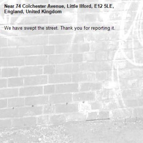 We have swept the street. Thank you for reporting it.-74 Colchester Avenue, Little Ilford, E12 5LE, England, United Kingdom
