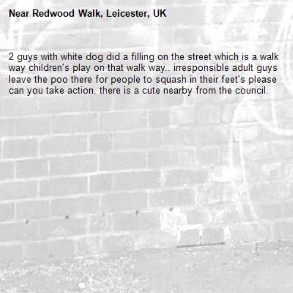 2 guys with white dog did a filling on the street which is a walk way children&#39;s play on that walk way.. irresponsible adult guys leave the poo there for people to squash in their feet&#39;s please can you take action. there is a cute nearby from the council.-Redwood Walk, Leicester, UK