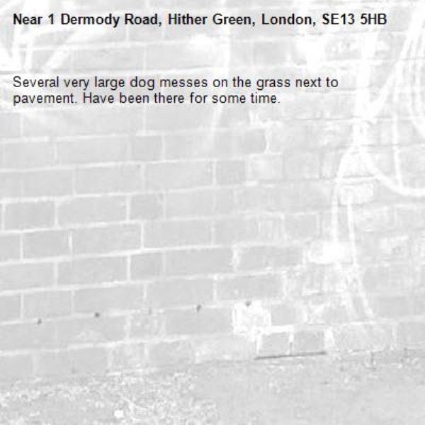 Several very large dog messes on the grass next to pavement. Have been there for some time.-1 Dermody Road, Hither Green, London, SE13 5HB