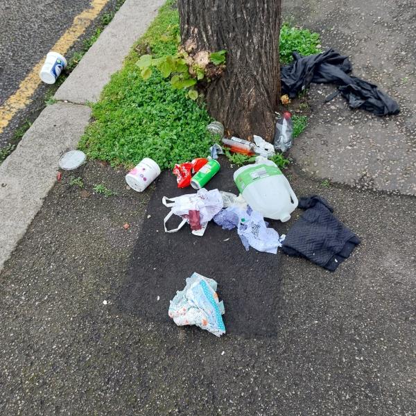 Trash-Flat 1, 107 Woodlands Park Road, Tottenham, London, N15 3SB