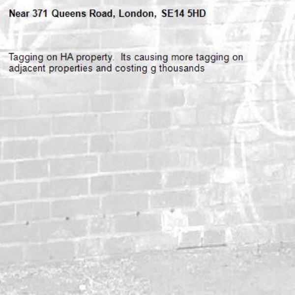 Tagging on HA property.  Its causing more tagging on adjacent properties and costing g thousands-371 Queens Road, London, SE14 5HD