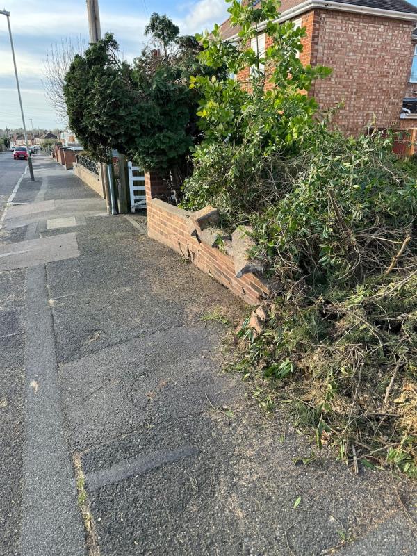 There has been a wall knocked down which is spilling over onto the pavement causing an issue with loose brickwork. Dangerous and hazardous as the wall can collapse at any moment -82 Cardinals Walk, Leicester, LE5 1LF