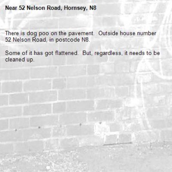 There is dog poo on the pavement.  Outside house number 52 Nelson Road, in postcode N8.

Some of it has got flattened.  But, regardless, it needs to be cleaned up.
-52 Nelson Road, Hornsey, N8
