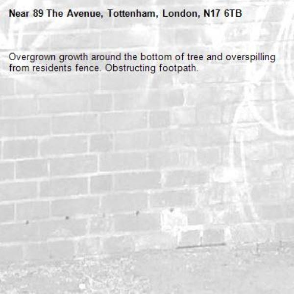 Overgrown growth around the bottom of tree and overspilling from residents fence. Obstructing footpath. -89 The Avenue, Tottenham, London, N17 6TB