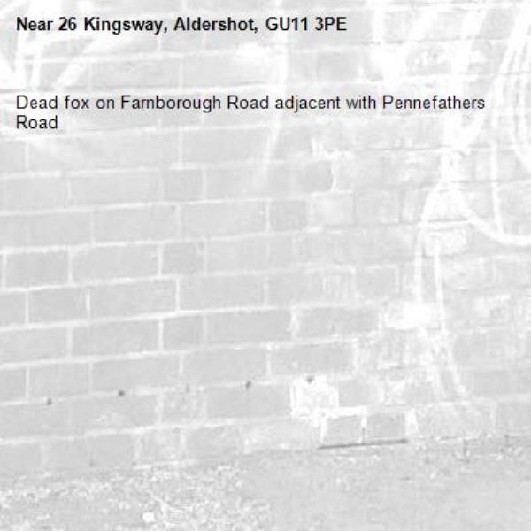 Dead fox on Farnborough Road adjacent with Pennefathers Road-26 Kingsway, Aldershot, GU11 3PE