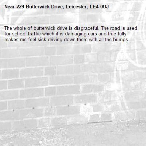 The whole of butterwick drive is disgraceful. The road is used for school traffic which it is damaging cars and true fully makes me feel sick driving down there with all the bumps. -229 Butterwick Drive, Leicester, LE4 0UJ