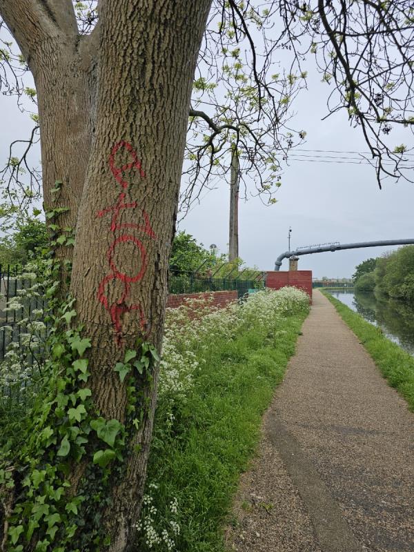 Tagging on tree-Blair Peach Primary School, Beaconsfield Road, Southall, UB1 1DD
