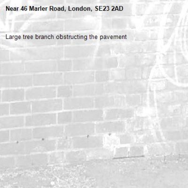 Large tree branch obstructing the pavement -46 Marler Road, London, SE23 2AD