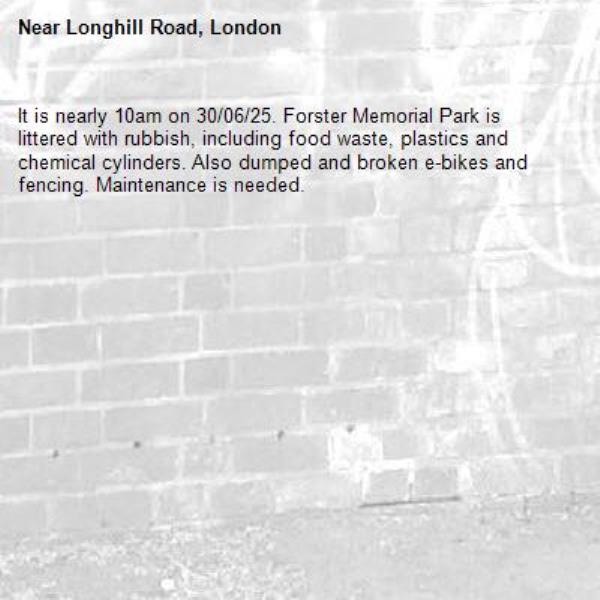 It is nearly 10am on 30/06/25. Forster Memorial Park is littered with rubbish, including food waste, plastics and chemical cylinders. Also dumped and broken e-bikes and fencing. Maintenance is needed.-Longhill Road, London