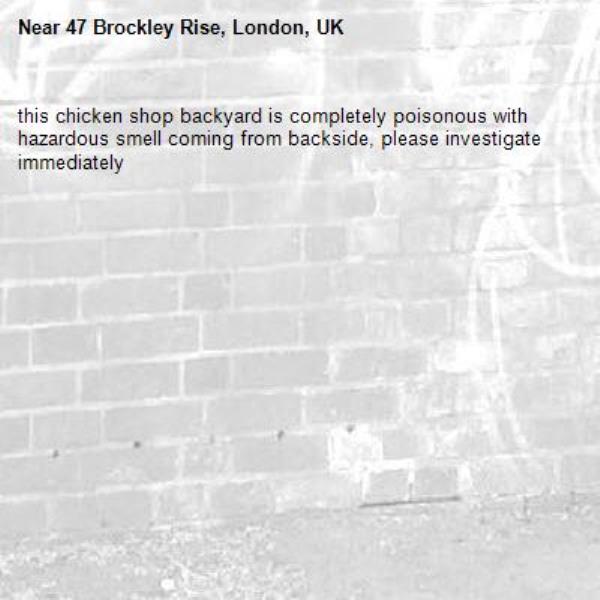 this chicken shop backyard is completely poisonous with hazardous smell coming from backside, please investigate immediately -47 Brockley Rise, London, UK