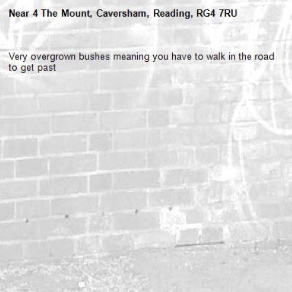 Very overgrown bushes meaning you have to walk in the road to get past-4 The Mount, Caversham, Reading, RG4 7RU