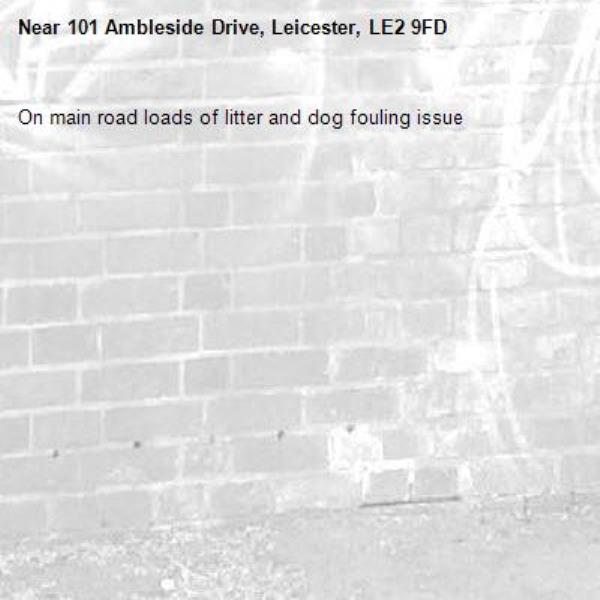 On main road loads of litter and dog fouling issue-101 Ambleside Drive, Leicester, LE2 9FD