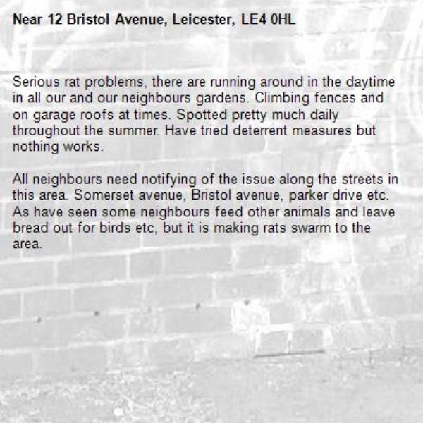 Serious rat problems, there are running around in the daytime in all our and our neighbours gardens. Climbing fences and on garage roofs at times. Spotted pretty much daily throughout the summer. Have tried deterrent measures but nothing works. 

All neighbours need notifying of the issue along the streets in this area. Somerset avenue, Bristol avenue, parker drive etc. As have seen some neighbours feed other animals and leave bread out for birds etc, but it is making rats swarm to the area. -12 Bristol Avenue, Leicester, LE4 0HL