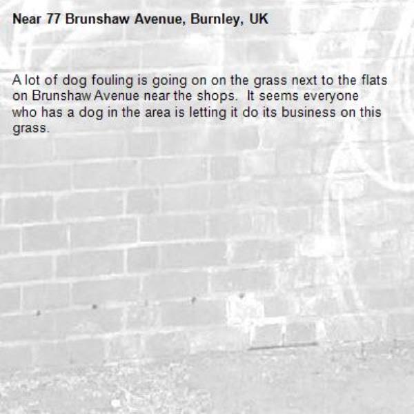 A lot of dog fouling is going on on the grass next to the flats on Brunshaw Avenue near the shops.  It seems everyone who has a dog in the area is letting it do its business on this grass.-77 Brunshaw Avenue, Burnley, UK