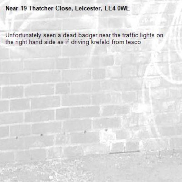 Unfortunately seen a dead badger near the traffic lights on the right hand side as if driving krefeld from tesco -19 Thatcher Close, Leicester, LE4 0WE