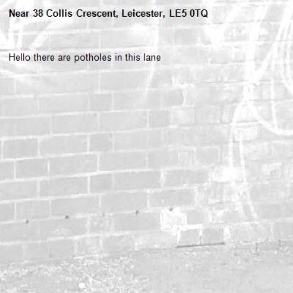 Hello there are potholes in this lane-38 Collis Crescent, Leicester, LE5 0TQ
