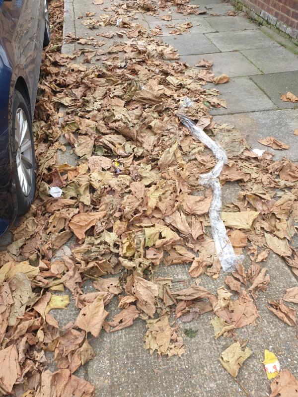 Kind request for Road sweeper's attention, as pavements are in poor state at Sandford Road. -46 Sandford Road, East Ham, London, E6 3QJ