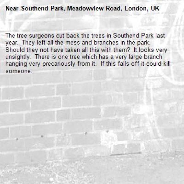 The tree surgeons cut back the trees in Southend Park last year.  They left all the mess and branches in the park.  Should they not have taken all this with them?  It looks very unsightly.  There is one tree which has a very large branch hanging very precariously from it.  If this falls off it could kill someone.  -Southend Park, Meadowview Road, London, UK
