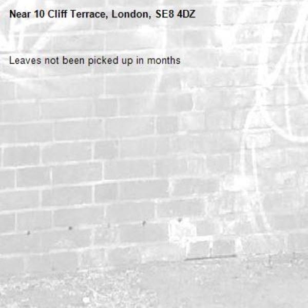 Leaves not been picked up in months -10 Cliff Terrace, London, SE8 4DZ