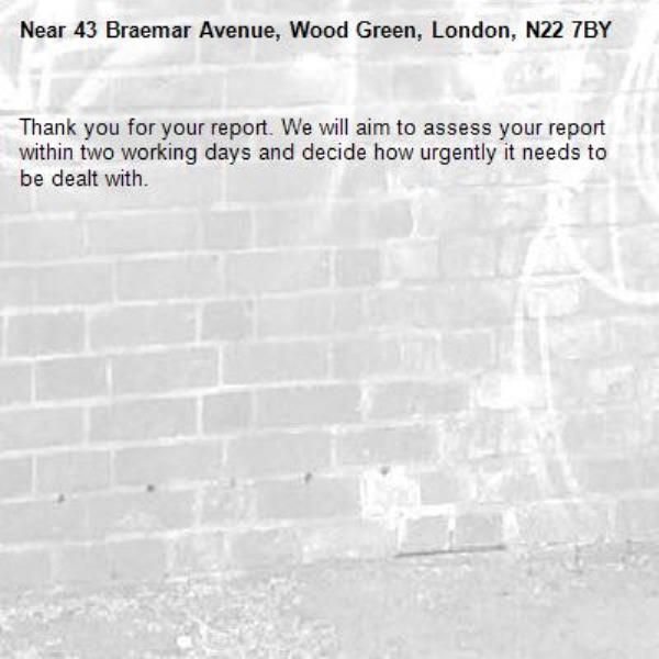 Thank you for your report. We will aim to assess your report within two working days and decide how urgently it needs to be dealt with.-43 Braemar Avenue, Wood Green, London, N22 7BY