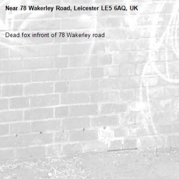 Dead fox infront of 78 Wakerley road-78 Wakerley Road, Leicester LE5 6AQ, UK