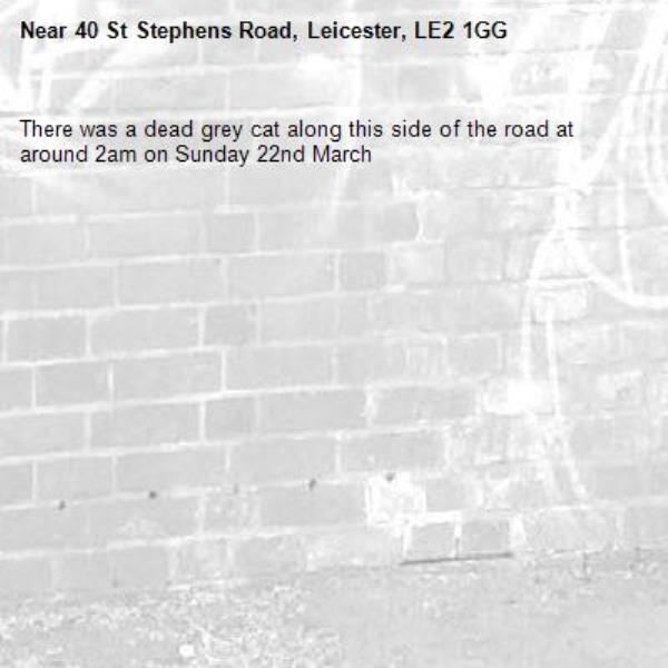 There was a dead grey cat along this side of the road at around 2am on Sunday 22nd March -40 St Stephens Road, Leicester, LE2 1GG