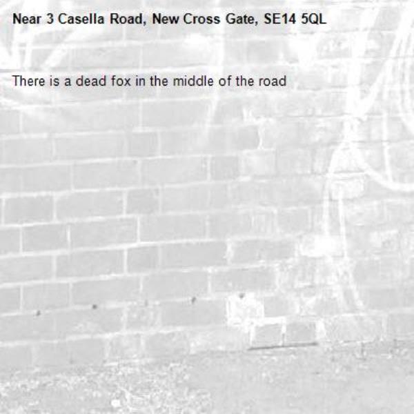 There is a dead fox in the middle of the road-3 Casella Road, New Cross Gate, SE14 5QL