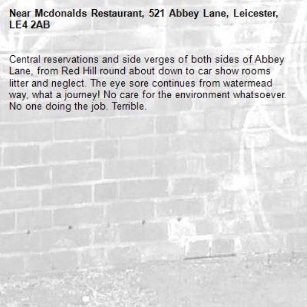 Central reservations and side verges of both sides of Abbey Lane, from Red Hill round about down to car show rooms litter and neglect. The eye sore continues from watermead way, what a journey! No care for the environment whatsoever. No one doing the job. Terrible. -Mcdonalds Restaurant, 521 Abbey Lane, Leicester, LE4 2AB