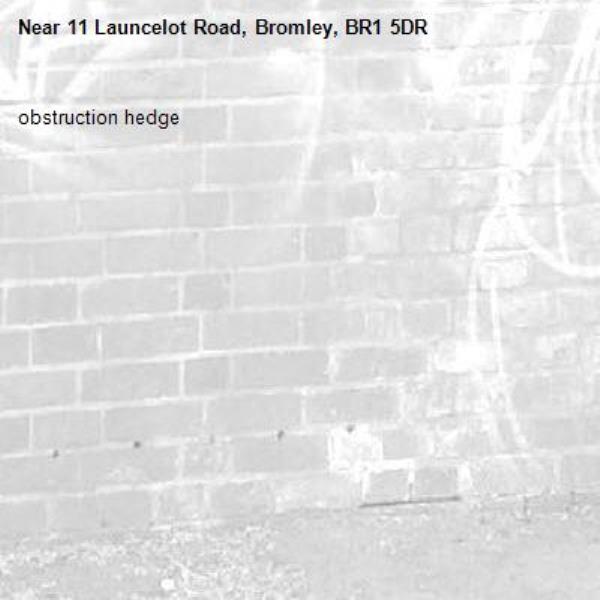 obstruction hedge-11 Launcelot Road, Bromley, BR1 5DR
