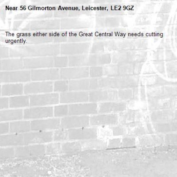 The grass either side of the Great Central Way needs cutting urgently.-56 Gilmorton Avenue, Leicester, LE2 9GZ