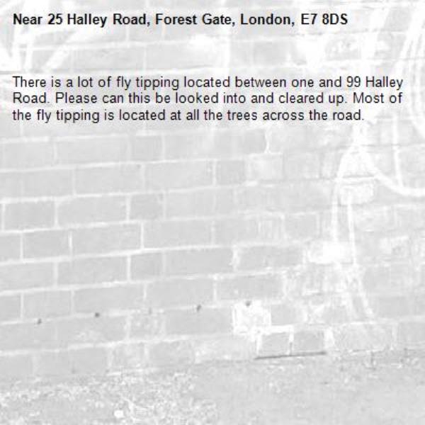 There is a lot of fly tipping located between one and 99 Halley Road. Please can this be looked into and cleared up. Most of the fly tipping is located at all the trees across the road.-25 Halley Road, Forest Gate, London, E7 8DS