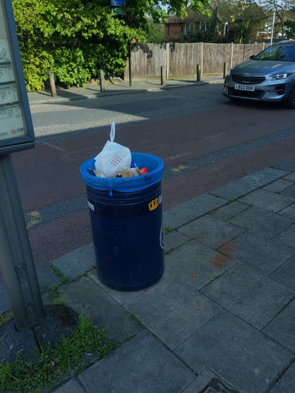 Blue bin needs empting -Prince Of Wales, 52 Perry Rise, London, SE23 2QL
