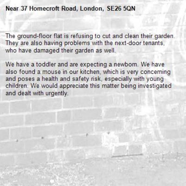 The ground-floor flat is refusing to cut and clean their garden. They are also having problems with the next-door tenants, who have damaged their garden as well.

We have a toddler and are expecting a newborn. We have also found a mouse in our kitchen, which is very concerning and poses a health and safety risk, especially with young children. We would appreciate this matter being investigated and dealt with urgently.
-37 Homecroft Road, London, SE26 5QN
