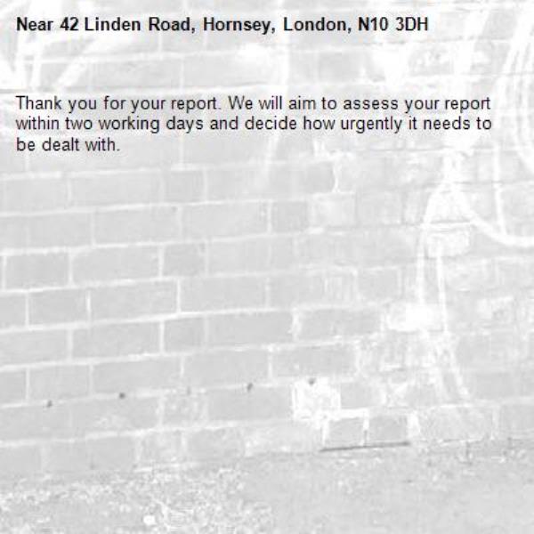 Thank you for your report. We will aim to assess your report within two working days and decide how urgently it needs to be dealt with.-42 Linden Road, Hornsey, London, N10 3DH