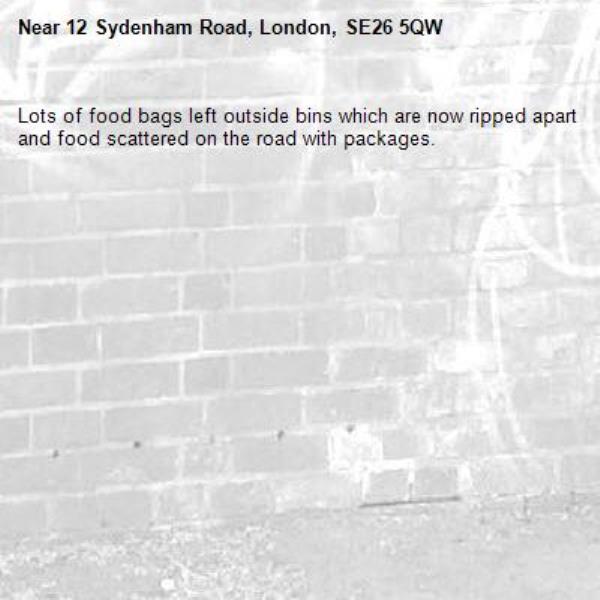 Lots of food bags left outside bins which are now ripped apart and food scattered on the road with packages.-12 Sydenham Road, London, SE26 5QW