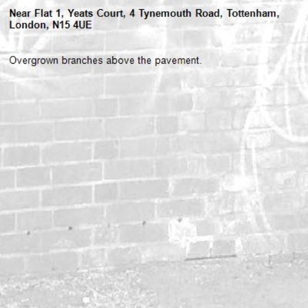 Overgrown branches above the pavement.-Flat 1, Yeats Court, 4 Tynemouth Road, Tottenham, London, N15 4UE