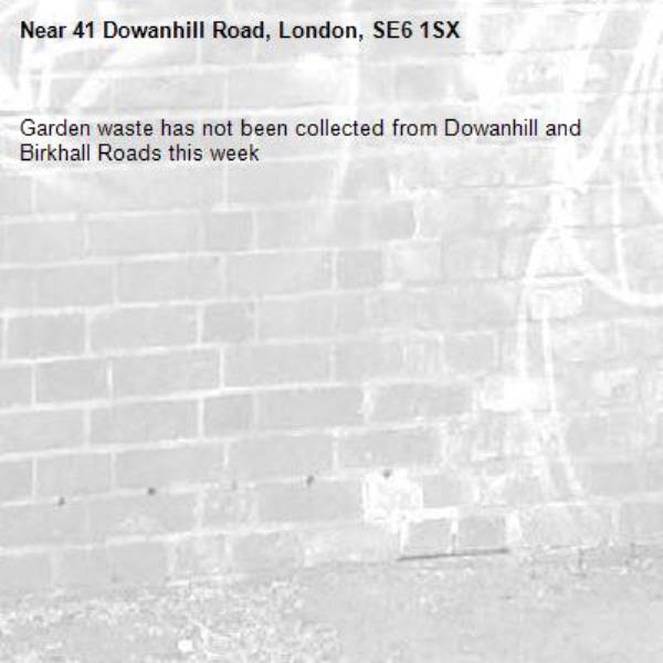 Garden waste has not been collected from Dowanhill and Birkhall Roads this week-41 Dowanhill Road, London, SE6 1SX