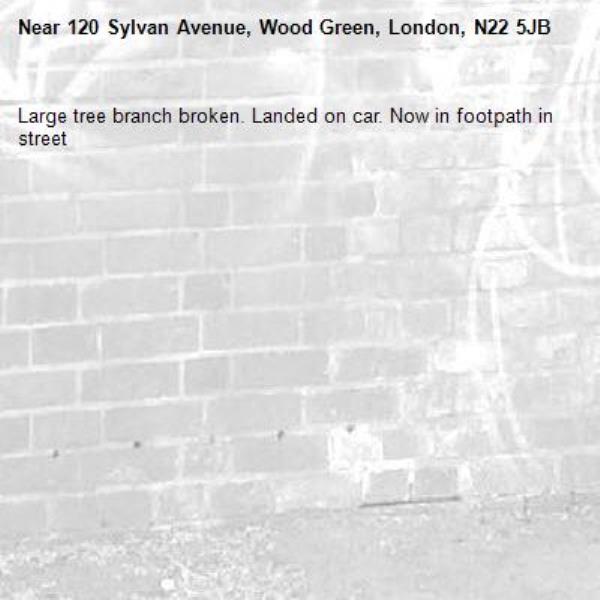 Large tree branch broken. Landed on car. Now in footpath in street -120 Sylvan Avenue, Wood Green, London, N22 5JB