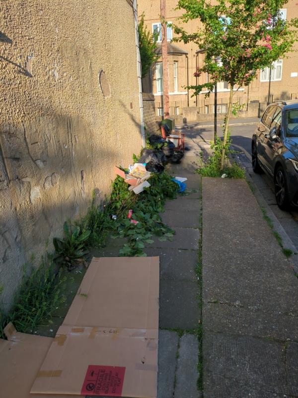 Garden waste from 30-32 St George's Avenue. That row of houses always dump here-Ground Floor Flat, 3 St Georges Square, Forest Gate, London, E7 8HN